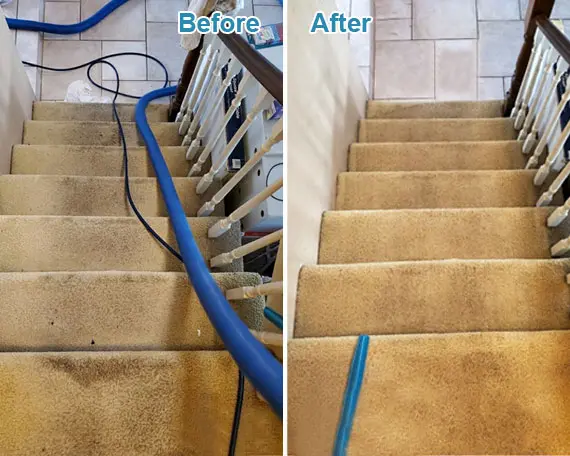 Professional Carpet Cleaning in Newport Beach, CA